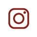 icon instagram